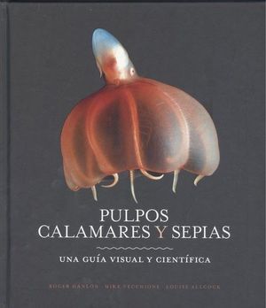 PULPOS, CALAMARES Y SEPIAS