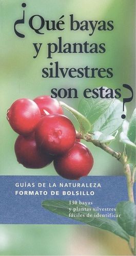 QUE BAYAS Y PLANTAS SILVESTRES SON ESTAS?