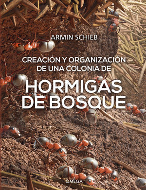 HORMIGAS DE BOSQUE: CREACIN Y ORGANIZACIN DE UNA COLONIA