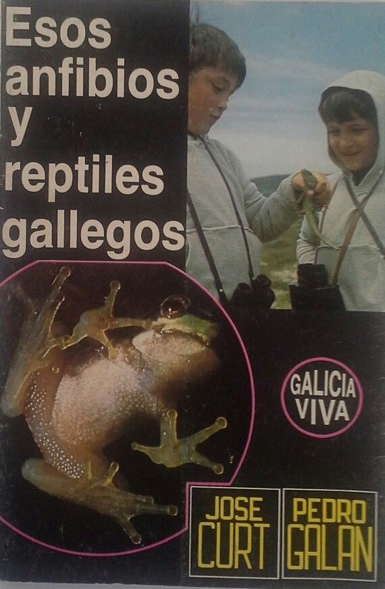 ESOS ANFIBIOS Y REPTILES GALLEGOS