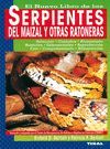 SERPIENTES DEL MAIZAL Y OTRAS RATONERAS
