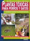 PLANTAS TXICAS PARA PERROS Y GATOS