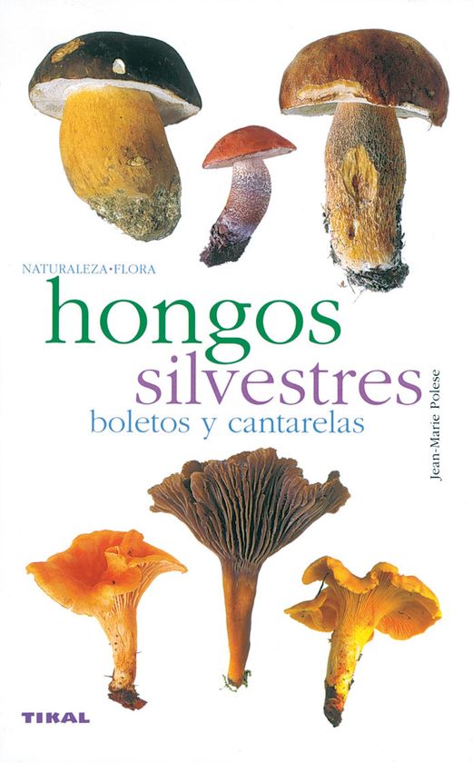 HONGOS SILVESTRES. BOLETOS Y CANTARELAS