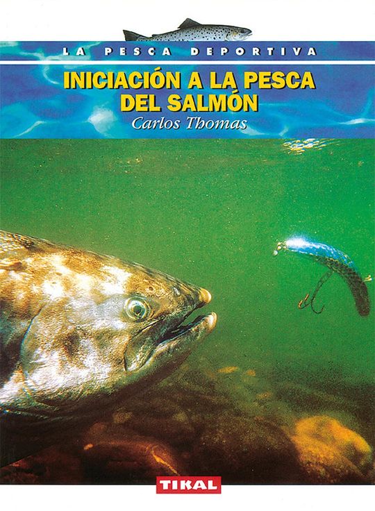 INICIACON A LA PESCA DEL SALMN