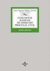 CONCEPTOS BSICOS DE DERECHO PROCESAL CIVIL