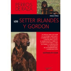 LOS SETTER IRLANDES Y GORDON