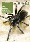 LAS ARA�AS GIGANTES