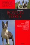 BOSTON TERRIER