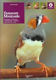 DIAMANTE MANDARN
