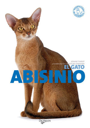 EL GATO ABISINIO