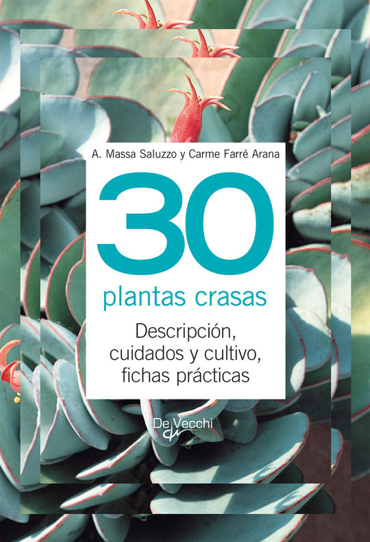 30 PLANTAS CRASAS