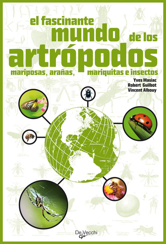 EL FASCINANTE MUNDO DE LOS ARTROPODOS INSECTOS, MARIPOSAS , ARAAS