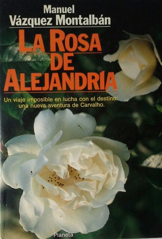 LA ROSA DE ALEJANDRA