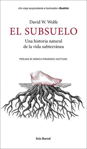 EL SUBSUELO