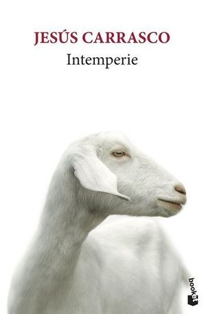 INTEMPERIE