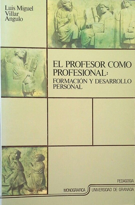 PROFESOR COMO PROFESIONAL, EL