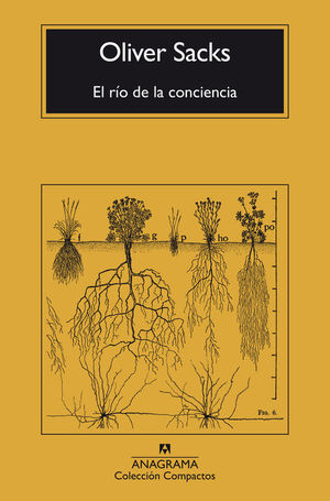 EL RO DE LA CONCIENCIA