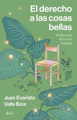 DERECHO A LAS COSAS BELLAS