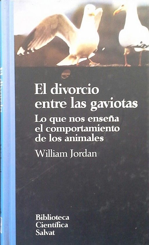 EL DIVORCIO ENTRE LAS GAVIOTAS