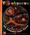 YO OBSERVO LOS ANIMALES BAJO TIERRA