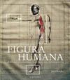 HISTORIA LAS TEORIAS DE LA FIGURA HUMANA:EL DIBUJO/LA ANATOMIA/LA PROP