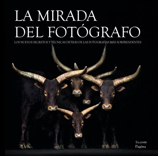 LA MIRADA DEL FOTGRAFO