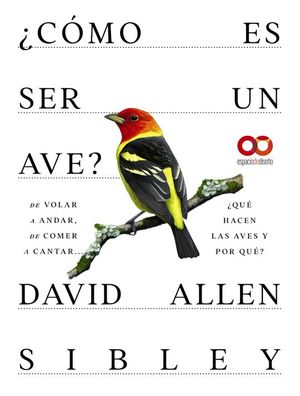 CMO ES SER UN AVE? DE VOLAR A ANIDAR, DE COMER A CANTAR...