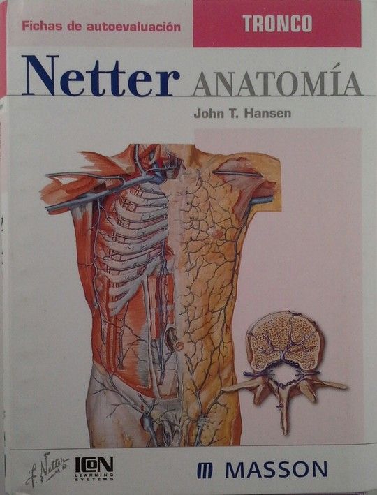 NETTER ANATOMA, TRONCO. FICHAS DE AUTOEVALUACIN