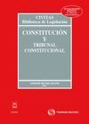 CONSTITUCI�N Y TRIBUNAL CONSTITUCIONAL