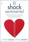 EL SHOCK SENTIMENTAL