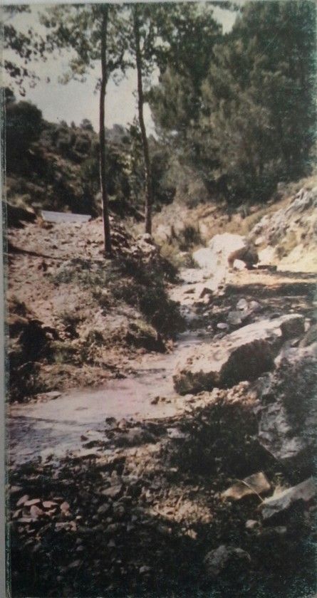 GUA ECOLGICA DEL RO AGUAS BLANCAS