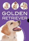 GOLDEN RETRIEVER,HISTORIA,HIGIENE,ALIMENTACION,EDUCA.Y SALUD