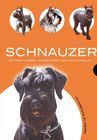 SCHNAUZER. HISTORIA, HIGIENE, ALIMENTACION,  MI MASCOTA