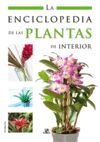 (N) ENCICLOPEDIA DE LAS PLANTAS DE INTERIOR, LA