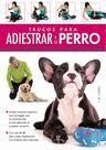 TRUCOS PARA ADIESTRAR A TU PERRO