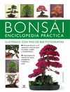 BONSI ENCICLOPEDIA PRCTICA