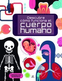 DESCUBRE CMO FUNCIONA EL CUERPO HUMANO