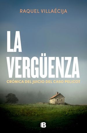 LA VERGENZA. CRONICA DEL JUICIO DEL CASO PELICOT