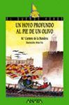 UN HOYO PROFUNDO AL PIE DE UN OLIVO
