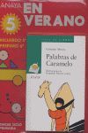 ANAYA EN VERANO, 5 EDUCACI�N PRIMARIA, 3 CICLO