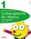 CO�ECEMENTO DO MEDIO 1.