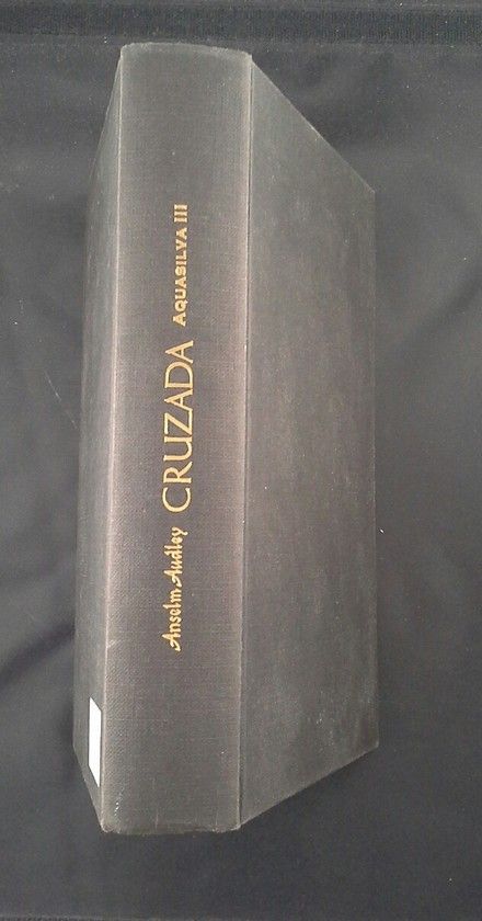 CRUZADA. TERCER LIBRO DE LA TRILOGIA AQUASILVA
