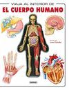EL CUERPO HUMANO
