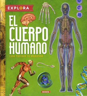 EXPLORA EL CUERPO HUMANO