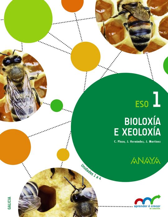 BIOLOX�A E XEOLOX�A 1.