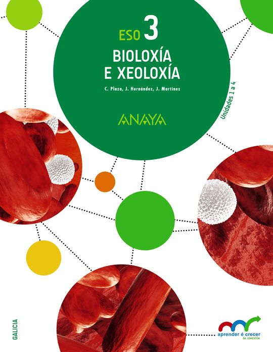 BIOLOX�A E XEOLOX�A 3.