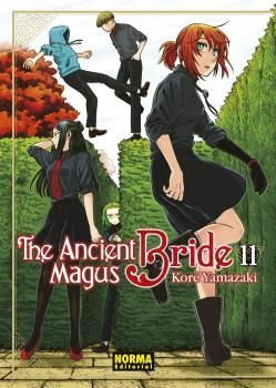 THE ANCIENT MAGUS BRIDE,11