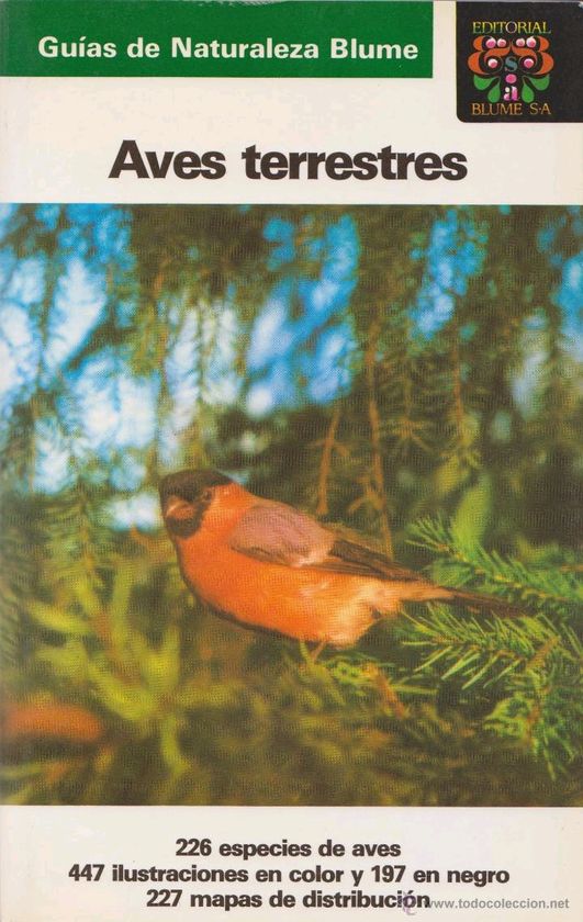 AVES TERRESTRES, LAS