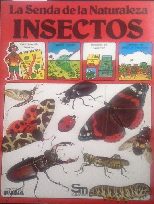 INSECTOS