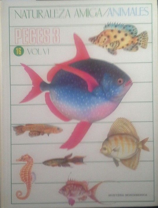 PECES 3 - 16 - VOL. VI